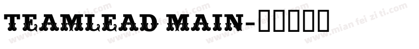 TEAMLEAD MAIN字体转换